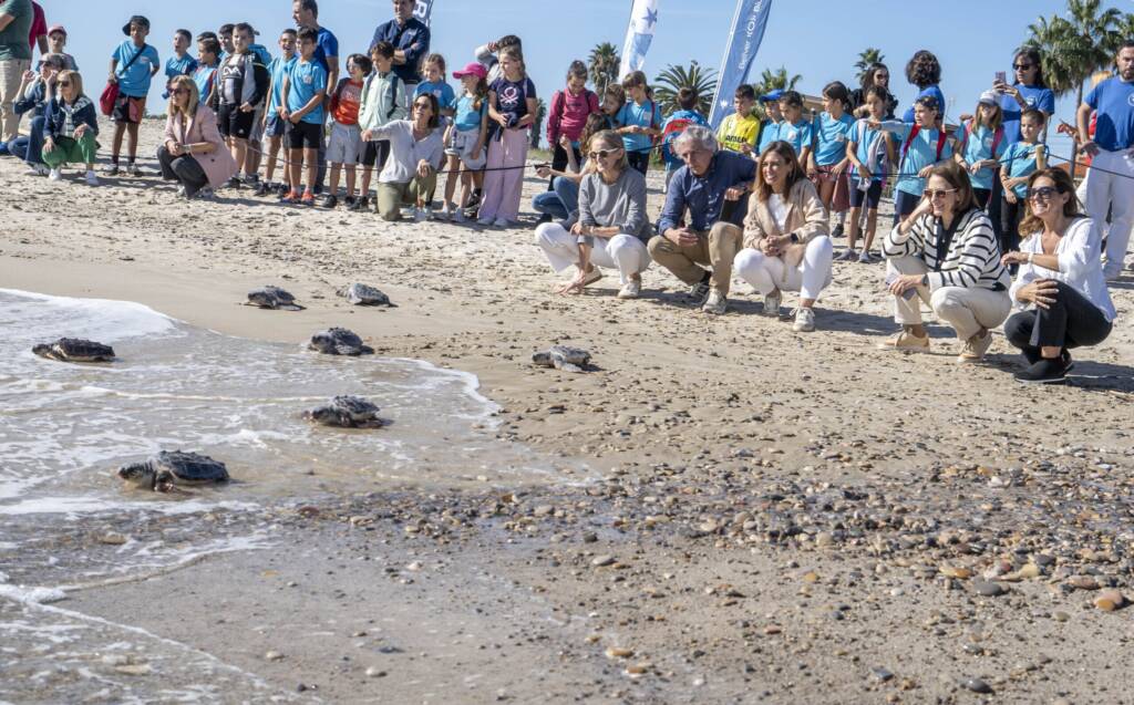 Un grupo de crías de tortuga avanza por la arena hacia el mar, mientras personas y niños observan desde la orilla. La escena muestra un momento colectivo y emocionante de la introducción en el mar de tortugas.