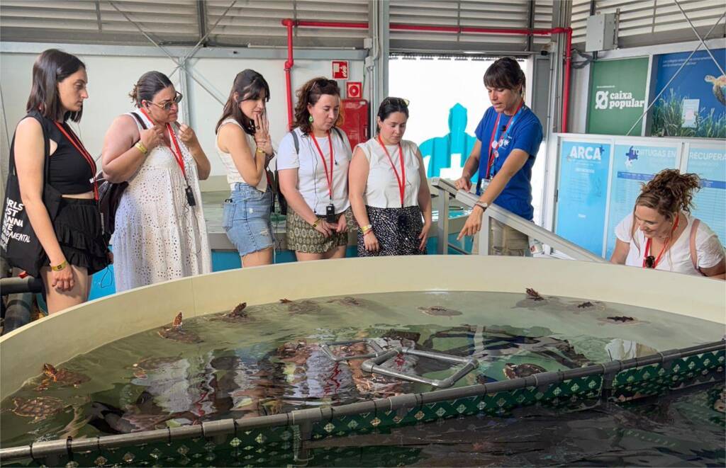 Un grupo de personas observa con atención un gran tanque redondo lleno de agua donde nadan varias tortugas marinas en recuperación. Una guía del Oceanogràfic les explica el trabajo del centro señalando hacia los animales.